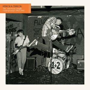 Various - Strum & Thrum: The American Jangle Underground 1983-1987 / Various